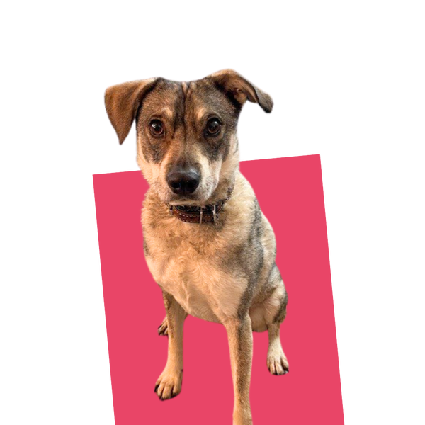 team member image